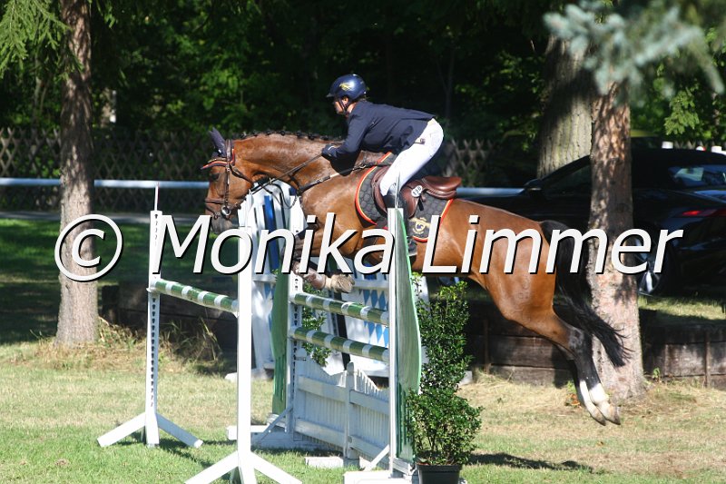 308M2837_Stil Mx_Stechen.JPG